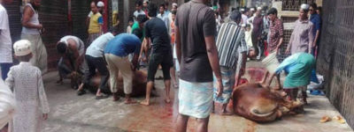 নির্ধারিত স্থানে কোরবানির নগরবাসীর সাড়া মেলেনি।