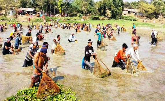 লালপুরে পদ্মা নদীতে মাছ ধরার উৎসব