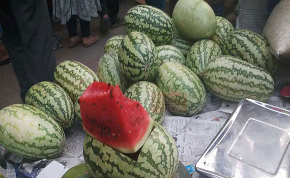 তরমুজ আর গরিবের ফল না!
