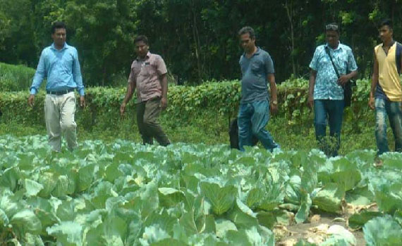 দৌলতপুরে গ্রীষ্মকালীন সবজি চাষে ব্যাপক সাফল্য চাষীদের